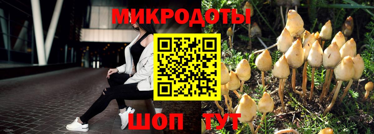 Галлюциногенные грибы Cubensis  Галлюциногенные грибы GOLDEN TEACHER  Майский  Вход с VPN 