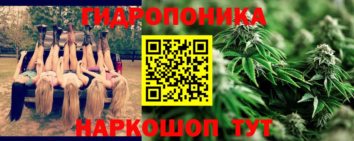 Бошки Шишки план Майский